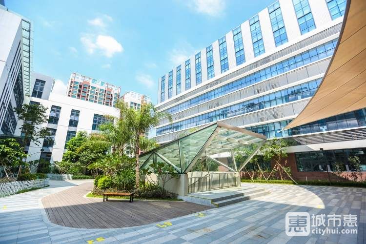 深圳南山國際學校