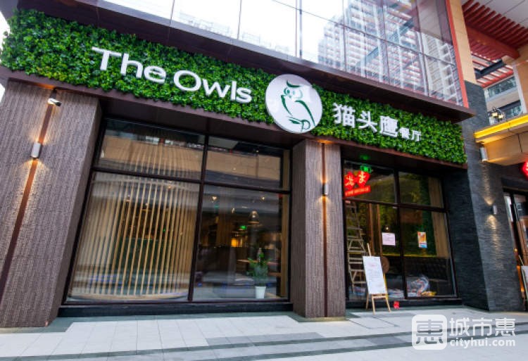 貓頭鷹茶餐廳