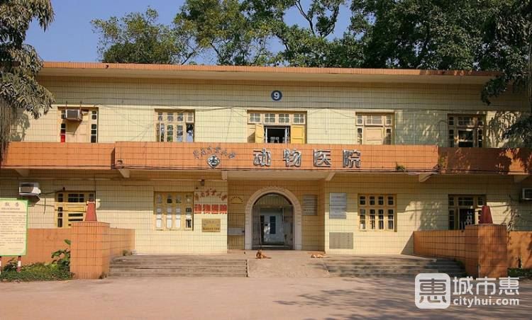 華南農(nóng)業(yè)大學(xué)動物醫(yī)院